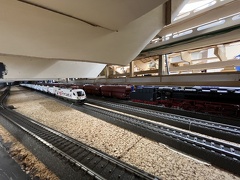IMG 8001